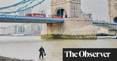 ‘I see cocaine in wild shrimp in Suffolk’: meet the scientist who .